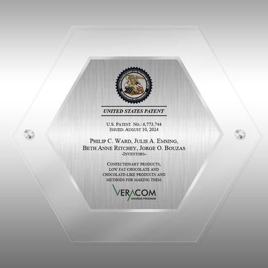 VC-HEZJ13 - Modern HexaLucite® Patent Plaque
